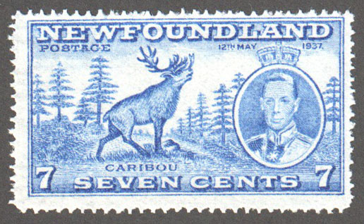 Newfoundland Scott 235 MNH F (P14.1) - Click Image to Close